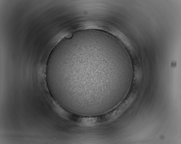 X0000103320793200809261135