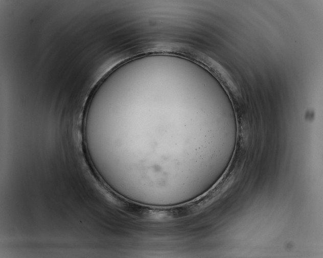 X0000103320794200809261135