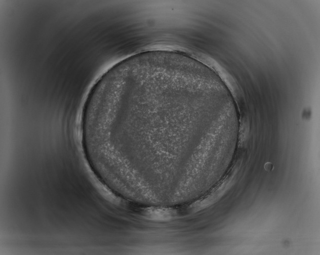 X0000103320795200809261135