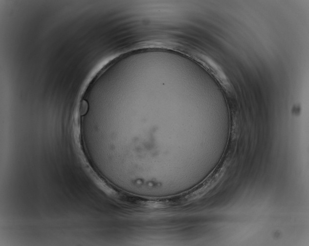 X0000103320796200809261135