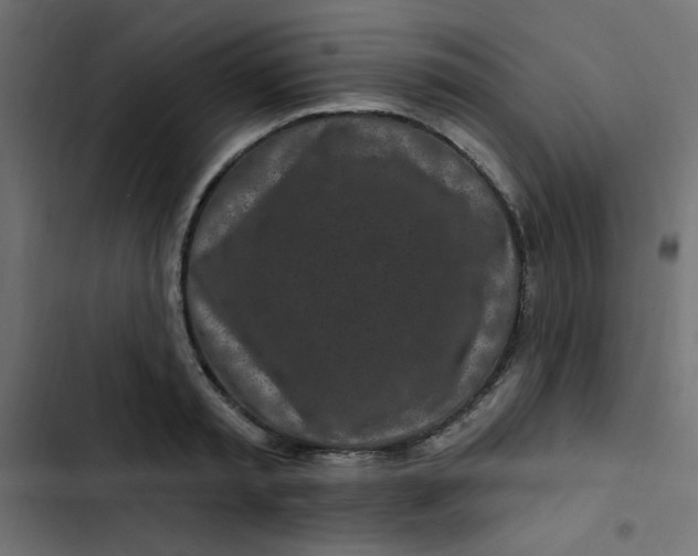 X0000103320797200809261135