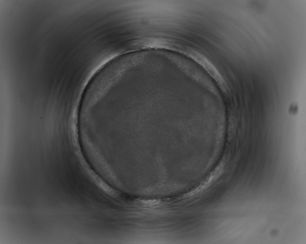 X0000103320798200809261135