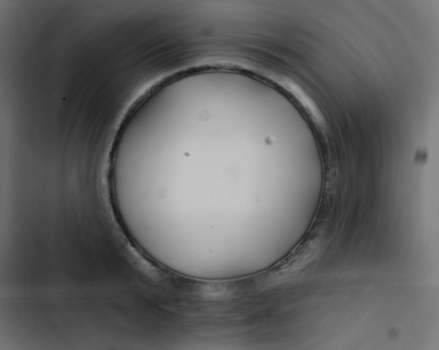 X0000103320799200809261135