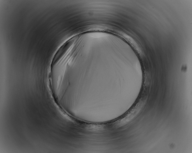 X0000103320802200809261135