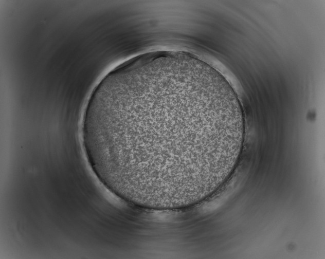 X0000103320803200809261135