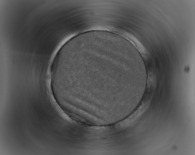 X0000103320804200809261135