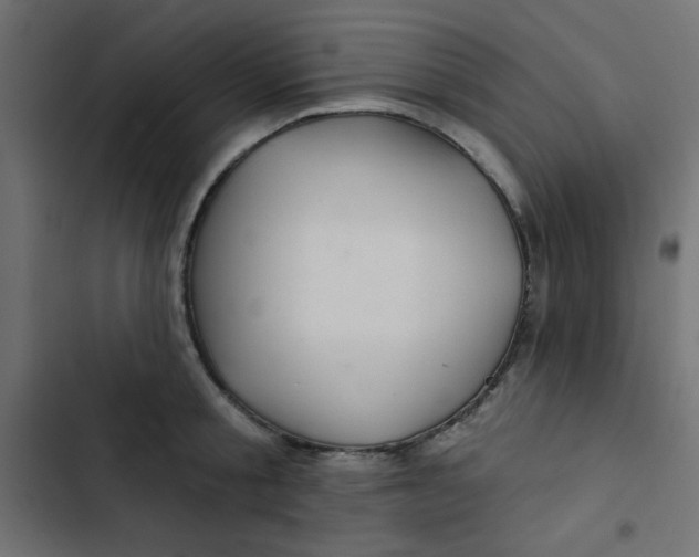 X0000103320805200809261135