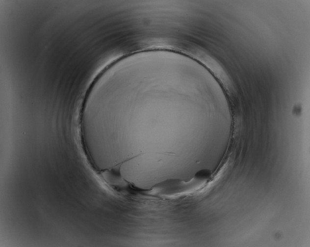 X0000103320806200809261135