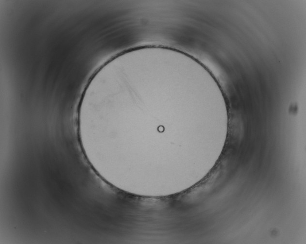 X0000103320807200809261135