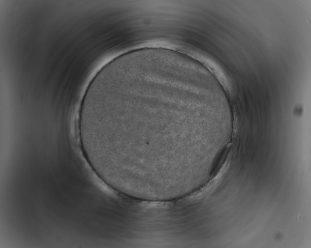 X0000103320808200809261135