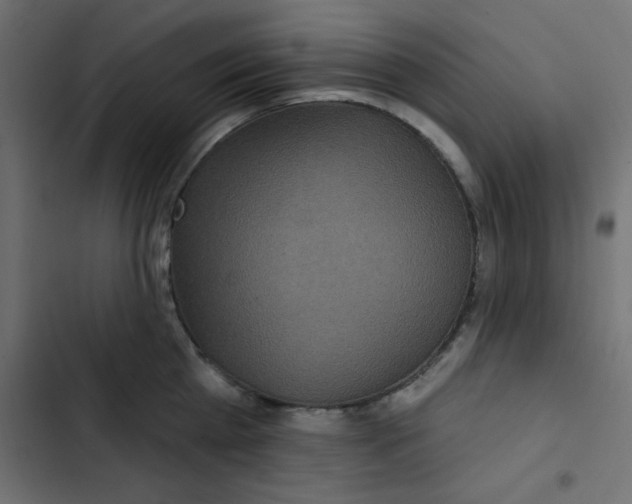 X0000103320809200809261135