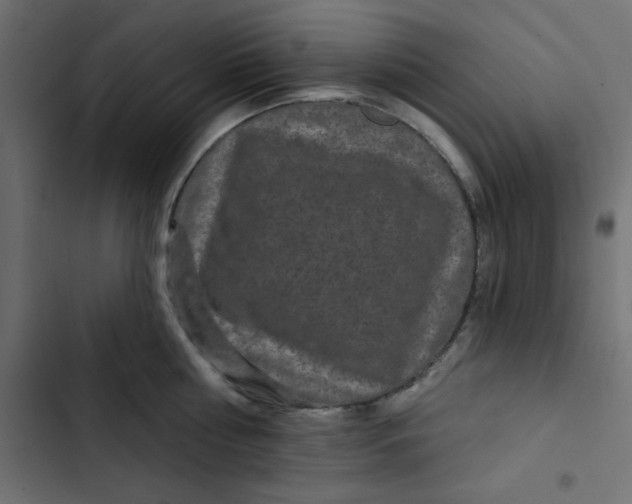 X0000103320810200809261135