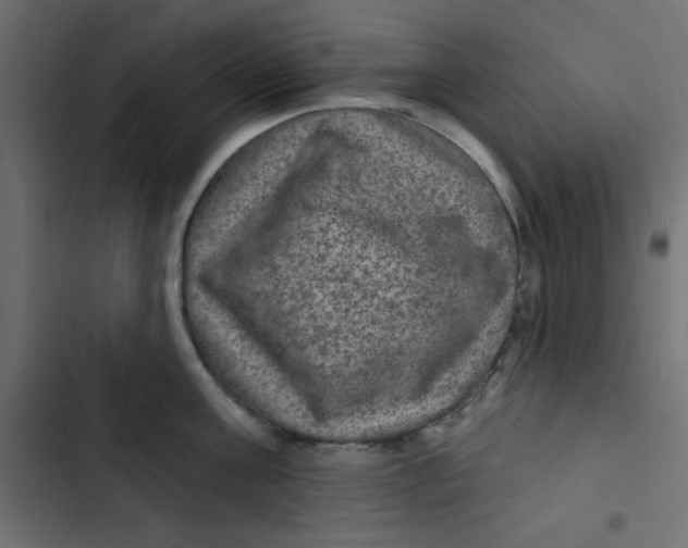 X0000103320811200809261135