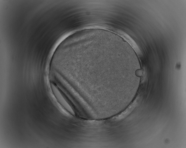 X0000103320812200809261135