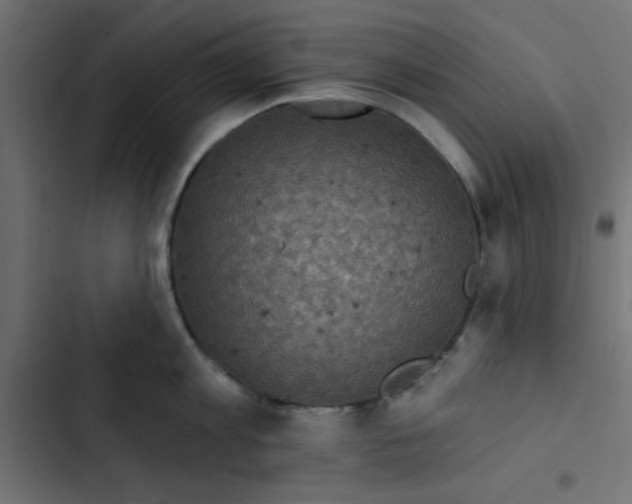 X0000103320813200809261134