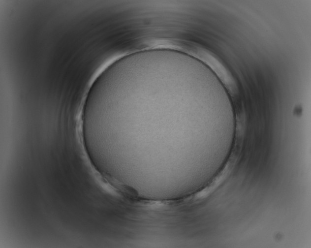 X0000103320814200809261134