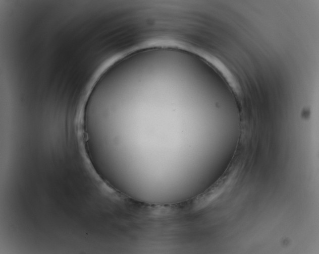 X0000103320815200809261134