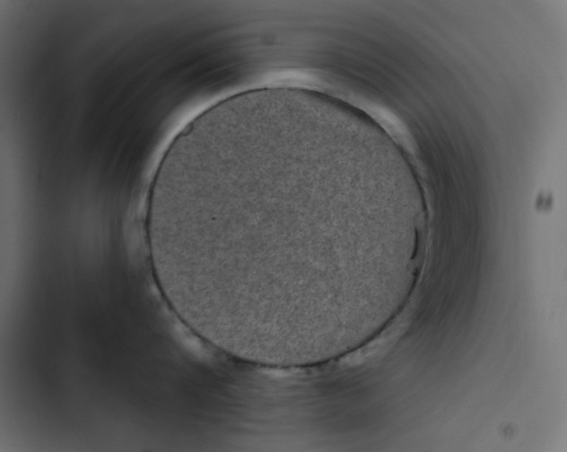 X0000103320816200809261134