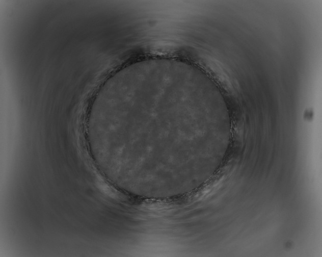 X0000103320817200809261134