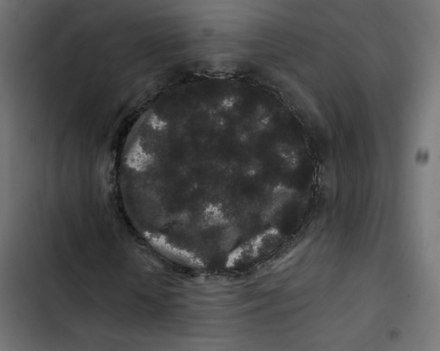 X0000103320818200809261134