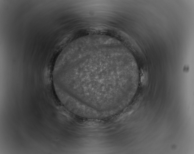 X0000103320819200809261134