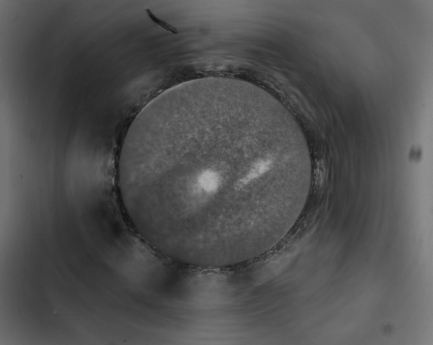 X0000103320820200809261134