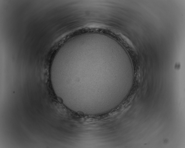 X0000103320821200809261134