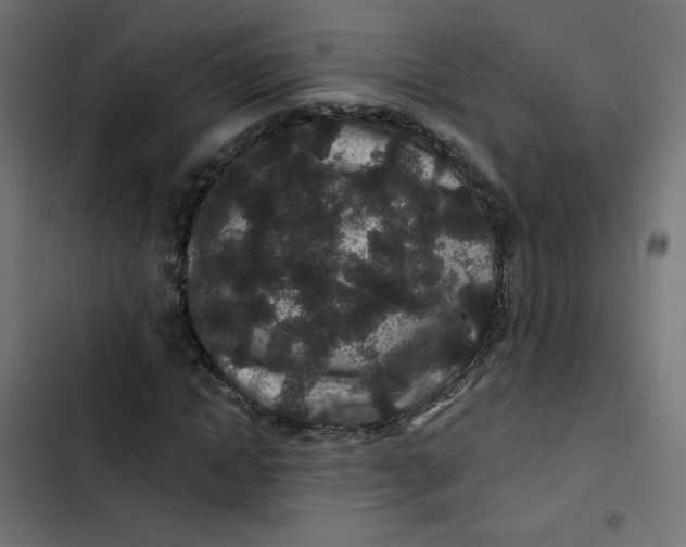 X0000103320822200809261134