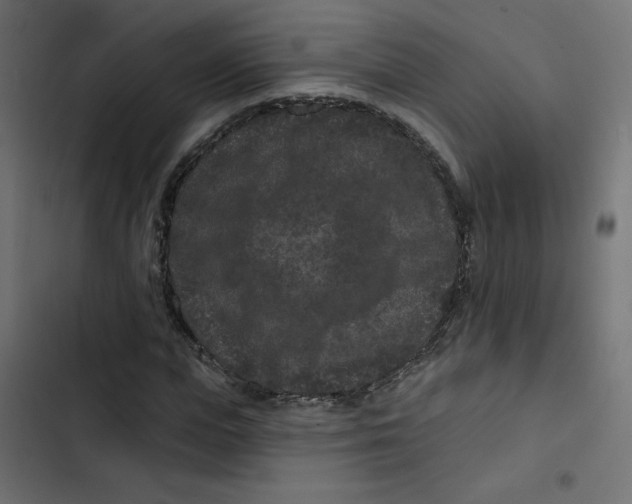 X0000103320823200809261134