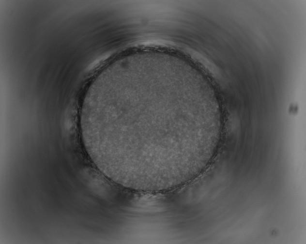 X0000103320824200809261134