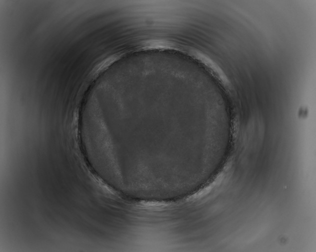 X0000103320825200809261134