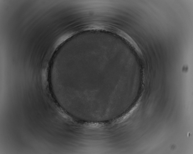 X0000103320826200809261134