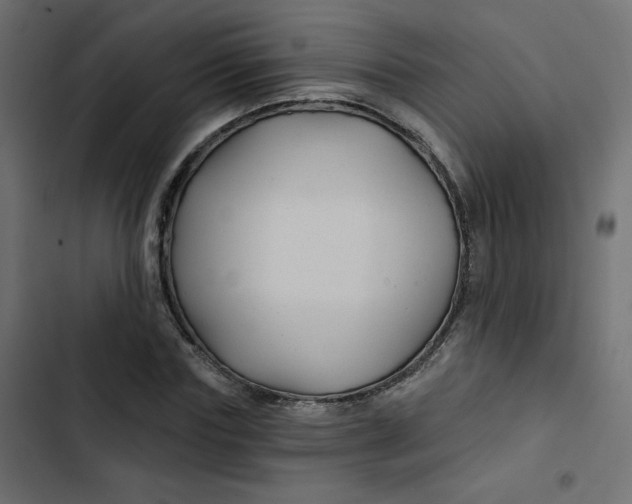 X0000103320827200809261134