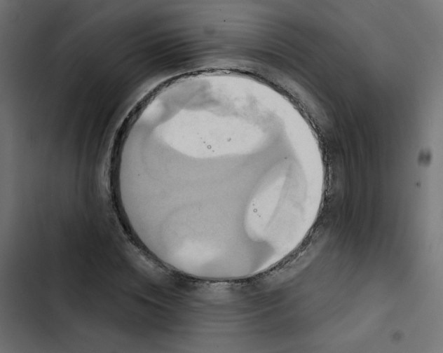 X0000103320828200809261134