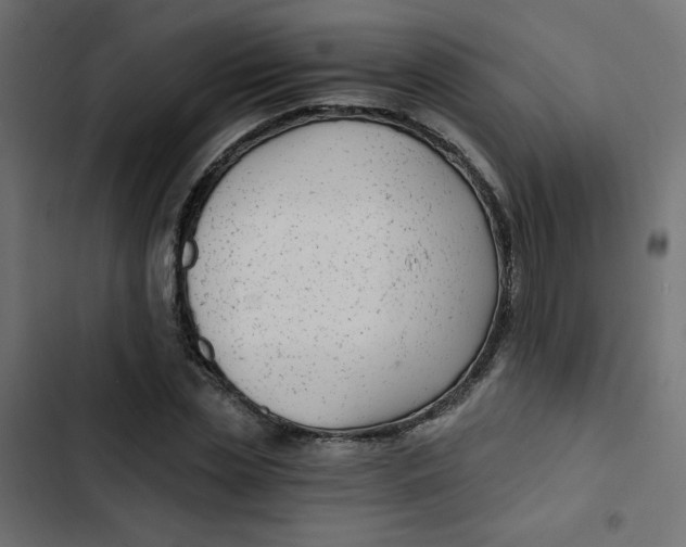 X0000103320829200809261134