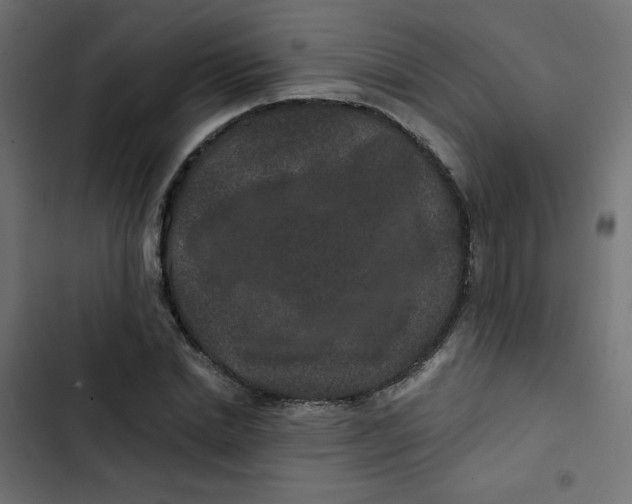 X0000103320830200809261134