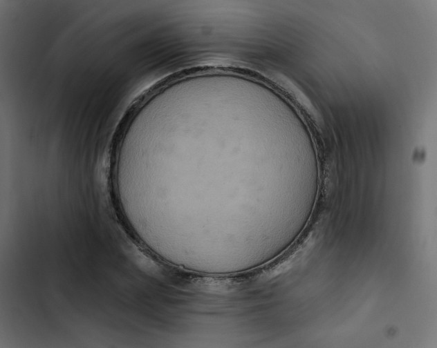 X0000103320831200809261134