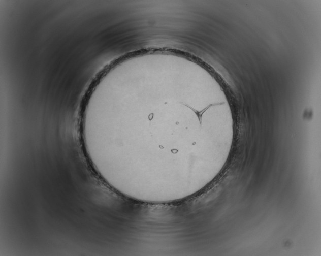 X0000103320832200809261134