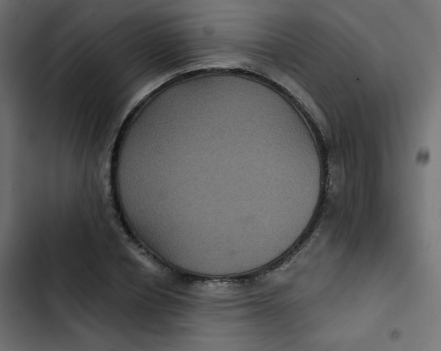 X0000103320834200809261134