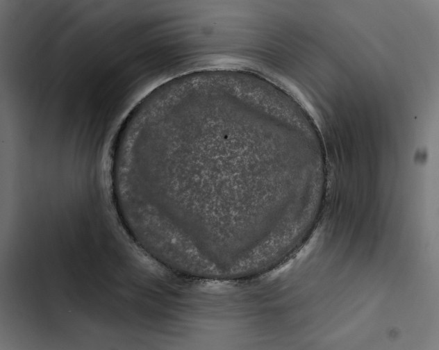 X0000103320835200809261134