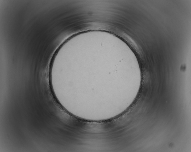 X0000103320836200809261134