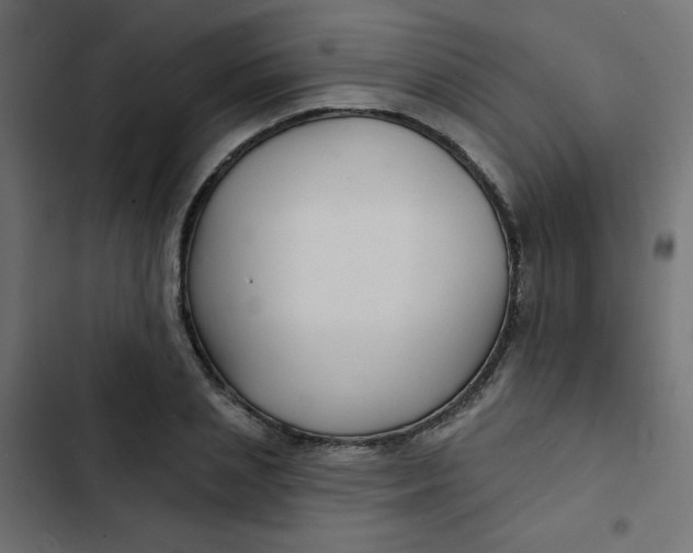 X0000103320837200809261134