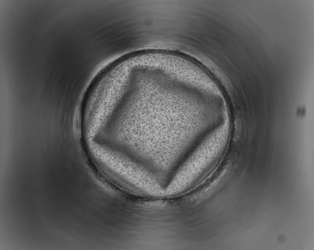 X0000103320838200809261134