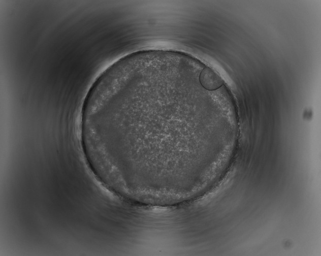 X0000103320839200809261134