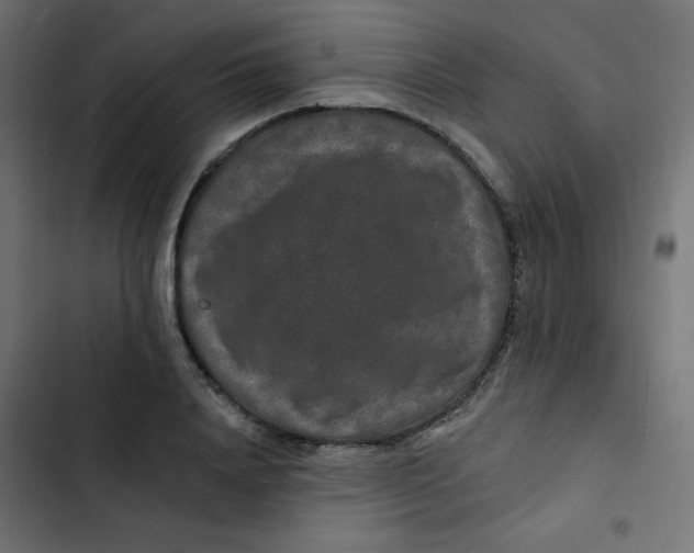 X0000103320840200809261134