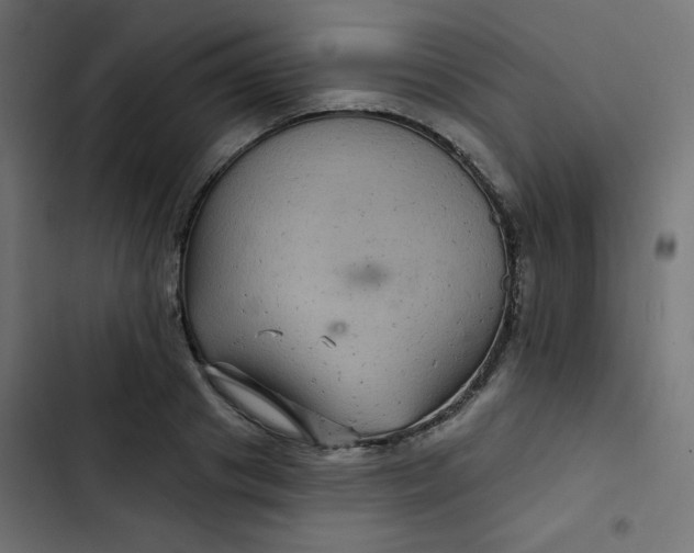 X0000103320841200809261134