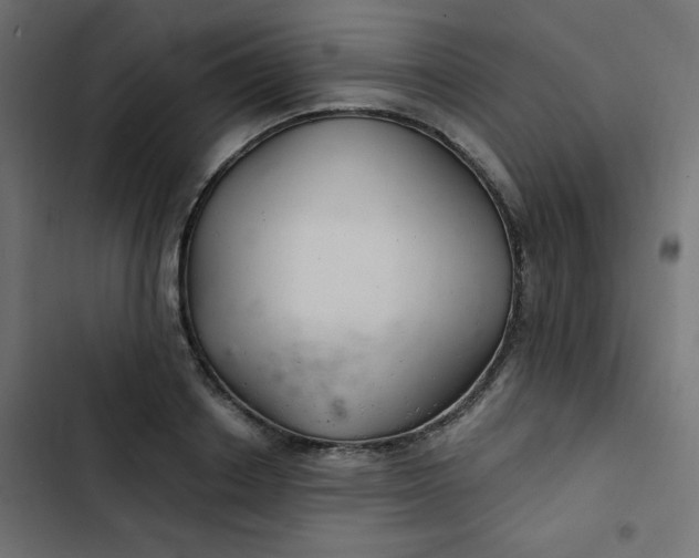 X0000103320842200809261134