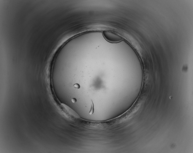 X0000103320843200809261134