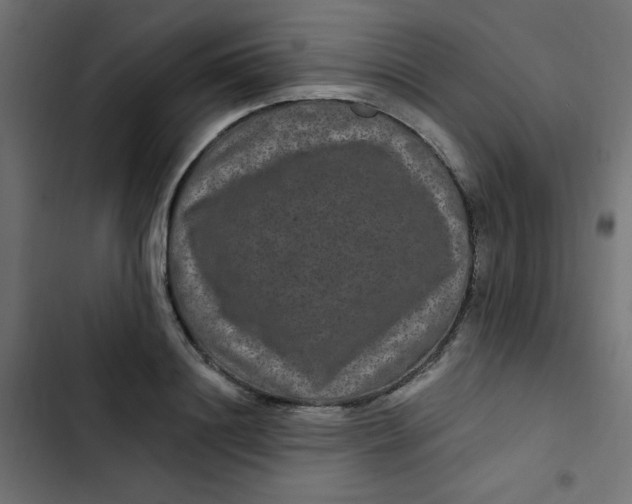 X0000103320844200809261134