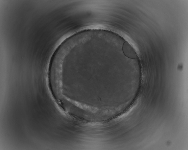 X0000103320845200809261134